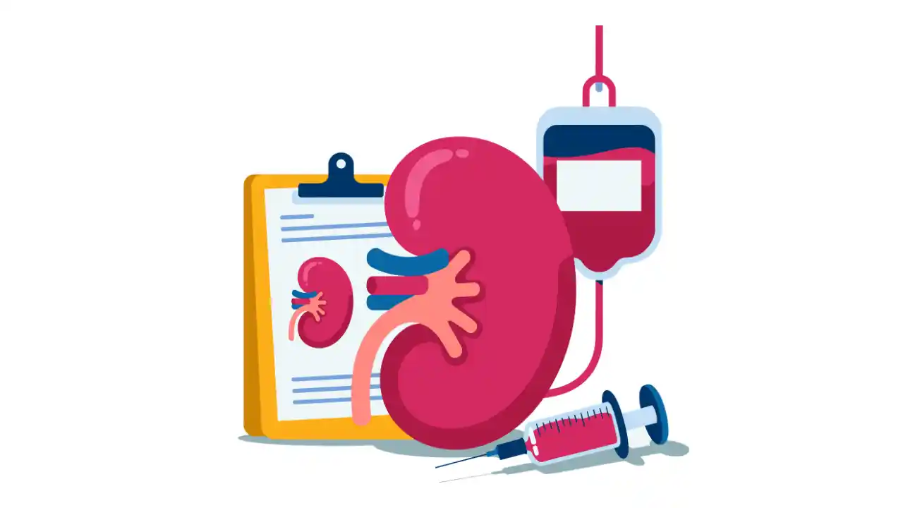 Kidney & Urinary System Diseases | گردے اور پیشاب کا نظام کی امراض